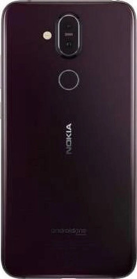 CasinoRetail NOKIA 8.1 Back Panel(Brown)