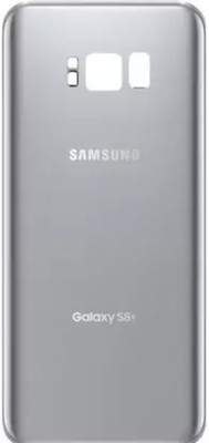 SRaccessories Samsung S8 Plus Back Panel(silver)