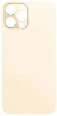 Hynaty APPLE APPLE IPHONE 12 PRO (GOLD) Back Panel(GOLD)
