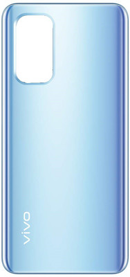 Sandreezz Vivo V19 (with Proper Logo) Back Panel(Mystic Silver)
