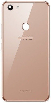Sandreezz Vivo Y83 (Best Quality) Back Panel(Gold)