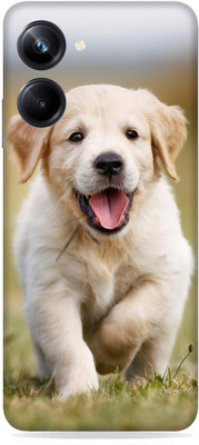 SkinoMania Realme 10 pro (5G) Mobile Skin(Multicolor Baby-Labradoor)