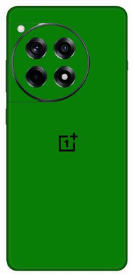 Vcare GadGets Green Matte OnePlus 12 R 5G With Logo Mobile Skin(Green Matte)