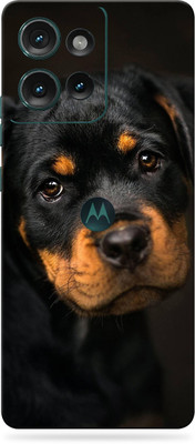 SkinoMania Motorola Edge 50 5G Mobile Skin(Baby-Rottweiler)