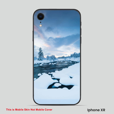 VYBE The Smart Choice iPhone XR Naturel Mobile Skin(Ferd Frond 3)