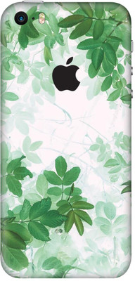 wrap craft Apple iPhone 5s Mobile Skin(Multicolor)