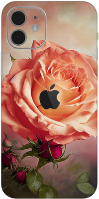wrap craft Apple Iphone 12 Mini Mobile Skin(Multicolor)
