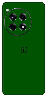 Vcare GadGets Green Glossy OnePlus 12 R 5G With Logo Mobile Skin(Green Glossy)