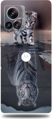 TJ CREATION Realme 8 Mobile Skin(Ultra Super Lion Shadow Skin With High Matte Finish.)
