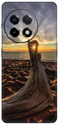 Yuckquee OnePlus 11R Mobile Skin for Back & Camera Protective - D42 Mobile Skin(Multicolor)