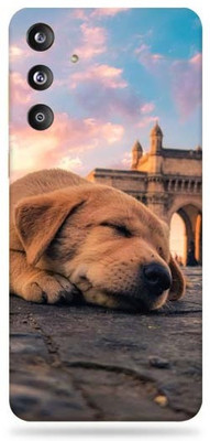 WeCre8 Skin's WeCre8 Skin's Samsung Galaxy F55 5G Mobile Skin(Baby Dog)