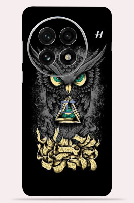 OggyBaba OggyBaba OnePlus 13 Mobile Skin(Black- Angry -Owl)