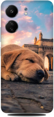 WeCre8 Skin's Redmi 13c Mobile Skin(Baby-Dog Multicolor Skin)