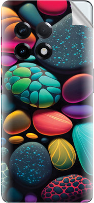tiddler OnePlus Ace2 Mobile Skin(Multicolor)