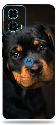 WeCre8 Skin's WeCre8 Skin's Moto_G34_5G Mobile Skin(Baby Rottweiler)