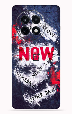 OggyBaba OggyBaba Oneplus 13R Mobile Skin(Ninja-Panda)