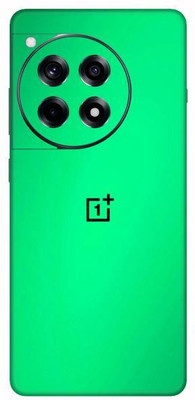 Vcare GadGets Metallic Light Green Shining OnePlus 12 R 5G With Logo Mobile Skin(Metallic Light Green Shining)