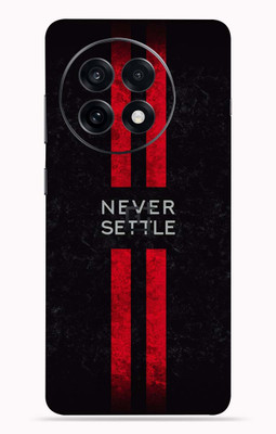 OggyBaba OggyBaba Oneplus 13R Mobile Skin(Natraj)