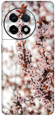 Yuckquee OnePlus 11R Mobile Skin for Back & Camera Protective - D54 Mobile Skin(Multicolor)