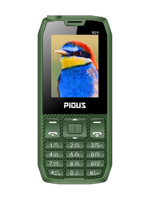 Pious M24 Dual Sim 2.4 inch Display, Wireless FM Radio,3000 mAh Battery, Made in India