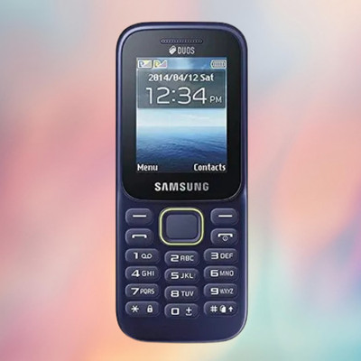 Samsung Metro 313