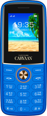 SAREGAMA Hindi Don Lite M13 with 351 pre-loaded songs(Orchid Blue)