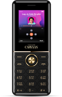 SAREGAMA Carvaan Mobile Hindi Don Lite M14 with 351 pre-loaded superhit songs(Classic Black)
