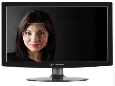 SECUREYE 16 inch WXGA Monitor (SE-MON-16H) (Response Time: 5 ms)