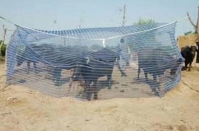PARTH TRADERS HDPE - High Density Poly Ethylene Adults Washable Animal Mosquito Net for Buffalo/Cow 15x10x10 ft Mosquito Net(Blue, Tent)