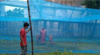 PARTH TRADERS HDPE - High Density Poly Ethylene Adults Washable Animal Mosquito Net for Buffalo/Cow 15x10x10 ft Mosquito Net(Blue, Tent)