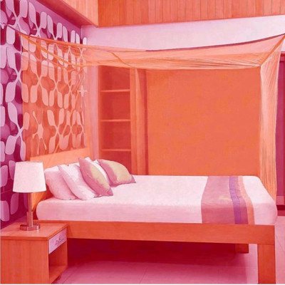 Mehon Craft Polyester Adults Washable MP MOS NEW TENTMNTGYY2WHXFHGGPZ Mosquito Net(Orange, Tent)