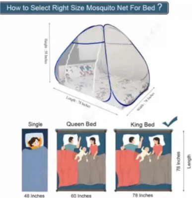 BELSODINE Polyester Adults Washable BELSODINEB019 SKY BLUEMosquito H183 Mosquito Net(White, Tent)