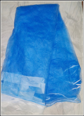 BAPASITARAM Polyester Adults Washable BAPA-SB_D_BL_058 Mosquito Net(Blue, Bed Box)