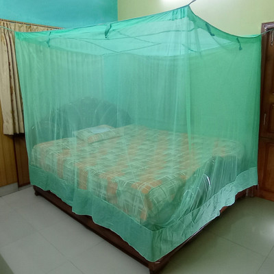 PRISMO Polyester Adults Washable Premium Soft Mosquito Net(Green, Frame Hung)