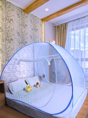 Flipkart SmartBuy Polyester Adults Washable Mosquito net Mosquito Net(Super Dark Blue, Tent)