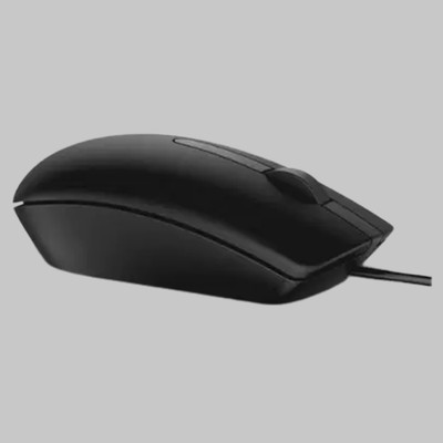 DELL MS 116-BK Wired Ambidextrous Optical Mouse(USB 2.0, Black)
