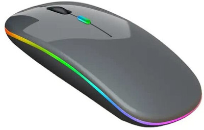 Elderbuy Wireless 2.4Ghz Rechargeable Mouse 1200 DPI Ultra-Thin Wireless Ambidextrous Optical Mouse  with Bluetooth(2.4GHz Wireless, Grey)