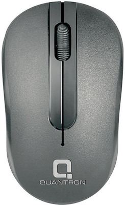 Quantron QMU-525 Wireless Ambidextrous Optical Mouse(2.4GHz Wireless, Black)