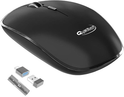 QUANTUM QHM260 Ambidextrous Optical Mouse(2.4GHz Wireless, Black)