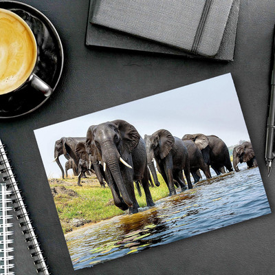 dk printing Elephants Ka Jhund Printed Mouse Pad Non Slip Base Mousepad(Black)