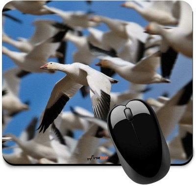 FirseBUY Snow Goose Bird Printed Non-Slip Rubber Base Mousepad for Laptop / Computer Mousepad(Multicolor)