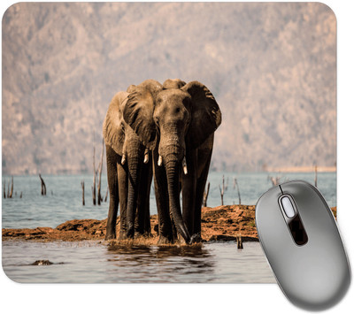 dk printing ElephantS 1786 Printed Mouse Pad Non Slip Base Mousepad(Black)