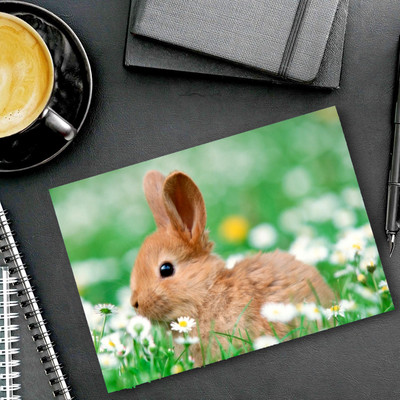 dk printing Small Rabbit Printed Mouse Pad Mousepad(Black)