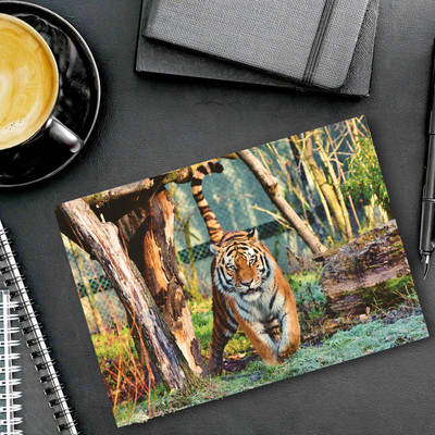 dk printing Angri Tiger Printed Mouse Pad Non Slip Base Mousepad(Black)