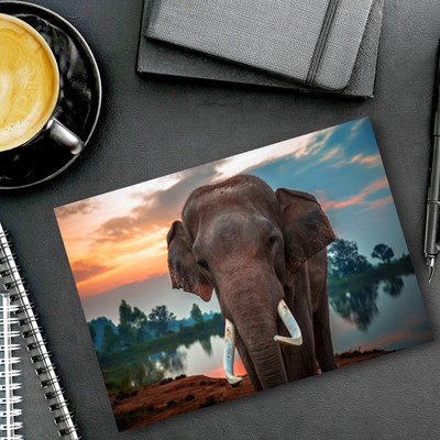 dk printing Super Rockstar11 Elephant Printed Mouse Pad Mousepad(Black)