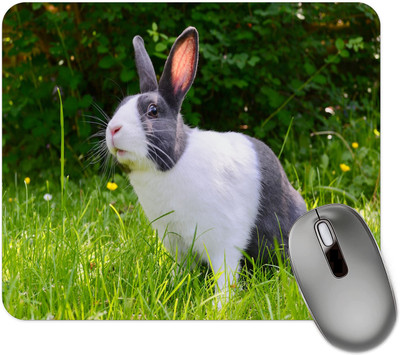 dk printing Rabbit White Black Printed Mouse Pad Mousepad(Black)
