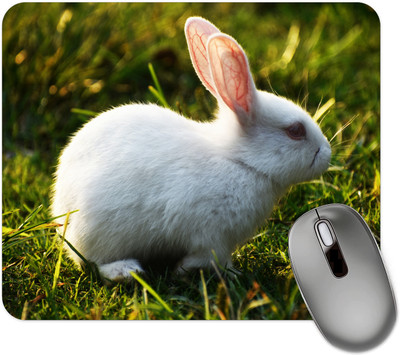 dk printing Rabbit King Lover Printed Mouse Pad Mousepad(Black)