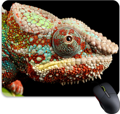 JOJO TRADERS colourful animal mouse pad for pc Non Slip Base Mousepad(Black)