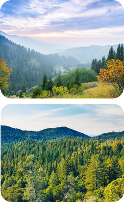 escope Pack fo 2 Nature Printed MousePad for Computer, PC, Laptop Non Slip Base Mousepad(Mousepad Nature 11&12)