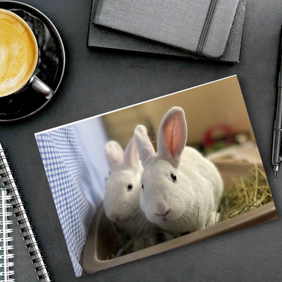 dk printing Rabbit 456 Printed Mouse Pad Mousepad(Black)